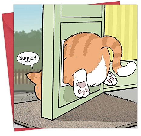 Twizler Lustige Karte mit dicker Katze eingeklemmt in Katzenklappe - blanko - Geburtstagskarte - Humorvolle Karte - Vatertagskarte - Muttertagskarte - Karte zum neuen Haus - Ruhestandskarte