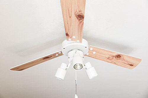 Ventilador de techo con iluminación y interruptor de cordón Cyrus blanco 107 cm