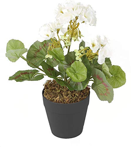 Best Artificial 24 cm lange Geranien-Pflanze, Topf nicht im Lieferumfang enthalten (weiß)