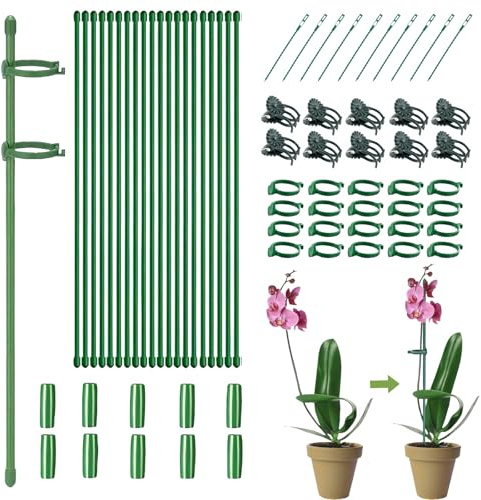 Supporto per bastoncini per piante, bastoncini per orchidee, pali per piante, 20 aste per piante da 30 cm con 20 fibbie ad anello, 10 tubi di collegamento, 10 clip per piante, 10 fascette per piante