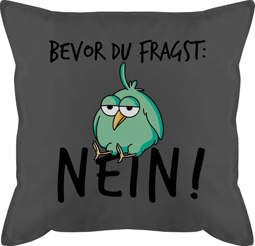 Kissen 50x50 - Statement mit Sprüchen - Bevor du fragst Nein - Geschenk Kollegen Lustig - 50 x 50 cm - Grau - spruch jugendzimmer polster sprüche spruechen nö motivkissen tiere und fuellung