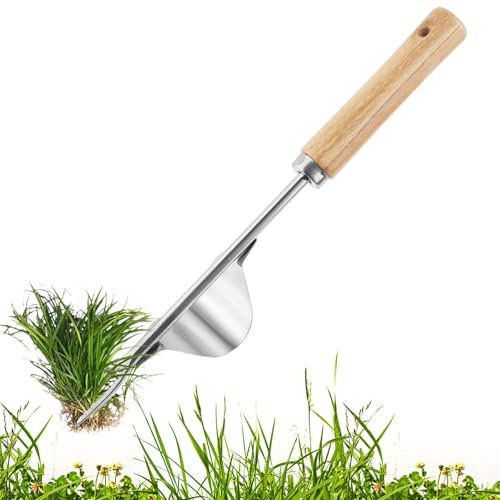 1 Stk Unkrautstecher Gartengeräte Stecher Edelstahl Wurzeljäter Unkraut Jäter mit Stiel Wurzeljäter Klein Handjäter Manueller Weeder zum Graben, Jäten, Lösen Unkrautjäter für Garten, Gärtnerinnen