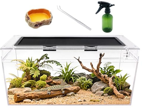 Reptile Growth Reptile PC Terrarium set, 20 x 10x 8,with Top Sliding Door Screen Ventilation for Insect，Fish，Tarantula，Hermit Crab，Jumping Spider，Iguana，Tortoise，Leopard Gecko，Frog，Bearded Dragn