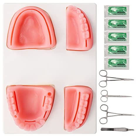 Dental -Naht -Praxis -Kit, Oral -Naht -Kit für Nahttraining -Naht -Trainingskit Medical Stitching Kit Zahnmediziner einschließlich Zangen -Pinzetten und 4 verschiedene Nahtpolster für Zahnarzt