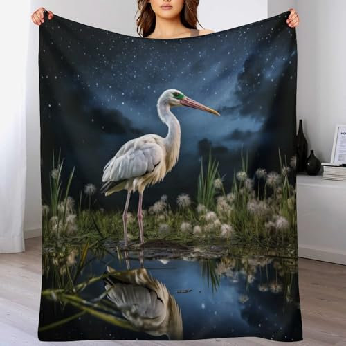 AAPZY Storch Decke,Vier Jahreszeiten Weich Wohndecke Decke Schlafdecke Sofadecke Plüschdecke Pelzdecke Printdesign Couchdecke Flannel Bett Decke （100×130cm）