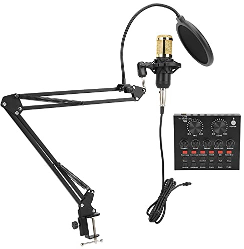 Naroote Grabación de Micrófono, Respuesta de Frecuencia de Micrófono 100 Hz-18000 Hz con una Tarjeta de Sonido para una Casa de Estudio