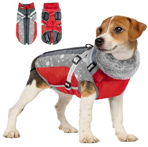 Eyein Hundemantel Winter mit Geschirr, Wasserfest Winddicht Reflektierend | Wärmend Fleece Hundejacke für kleine, mittlere und große Hunde, Welpenweste für Spaziergänge im Freien (Rot, S)