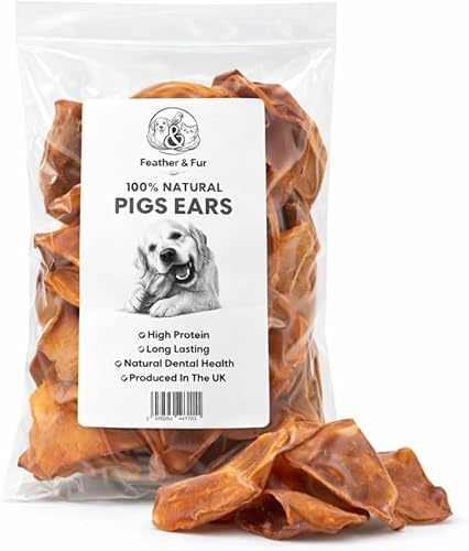 Feather and Fur Large Pig Ears Pack of 10 | Natural Long Lasting Dog Chews