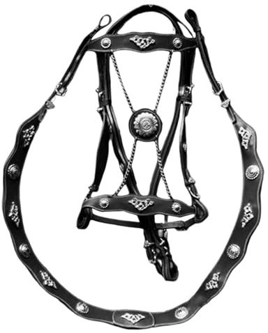 LYFDPN Redini del Cavallo Anti-attrito Equitazione Capestro Corda di Piombo in Pelle Ergonomico Confortevole Briglia Libera con Fibbia in Metallo