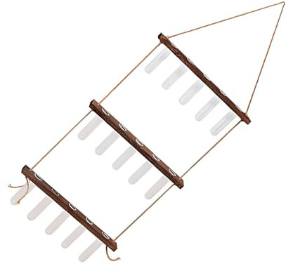 BEALIFE Einzigartiges und auffälliges Reagenzglas zum Aufhängen an der Wand mit dreistufigem Holz Glas Pflanzgefäß, Pflanzenvase mit Holzständer, Geschenk, Retro Stil