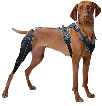 Hunde-Kniebandage, verstellbare Rücken- und Beinstütze, CCL-Pflege, mittelgroße und große Hunde, Kniegelenk-Stabilisator, tragbar, kompakt, vielseitig, ideal für die Genesung von Verletzungen