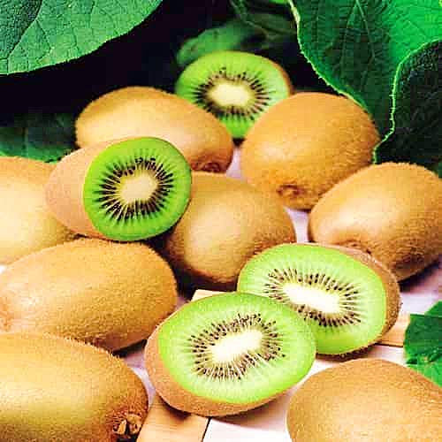 Gartensamen SummerRio- Selten Obst-Sortiment Kiwi Berry Lila Kiwi Jenny Samen Pflanze Bio Obst Frucht Fruchtsamen Saatgut Vitaminenreich mehrjährig winterhart für Garten Balkon/Terrasse (50PCS, Typ01)