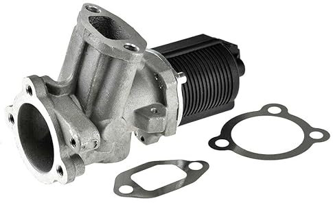 Valvola EGR compatibile con Fiat DOBLO 1.3 D Multijet / 1.3 JTD 16V 2006 + EGR/FT/112AB