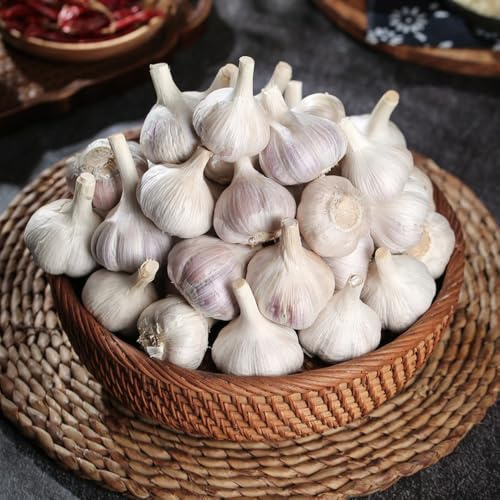 KnoblauchSamen-pflanzknoblauch,zimmerpflanzen,Pflanzenfür sonnige plätze winterharte kübelpflanzen 450pcs
