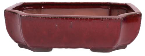 generisch Bonsai - Schale eckig 31.5 x 24 x 9.3 cm, Bordeaux 40450