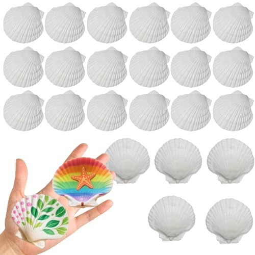 25Pcs Natural White Scallop Shells 6-7cm Large Seashells for Wedding Decor Beach Theme Party Crafts Home Decoration DIY Crafting