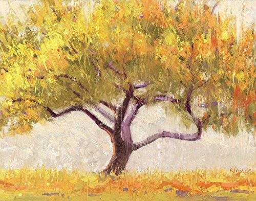 ArtExpert Apricot Tree by Shirley Novak - 14x11 Art Print Poster