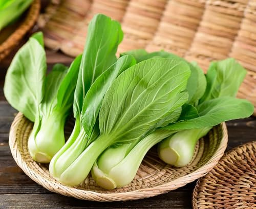 Baby Pak Choi Seeds - Delicious Chinese Vegetable