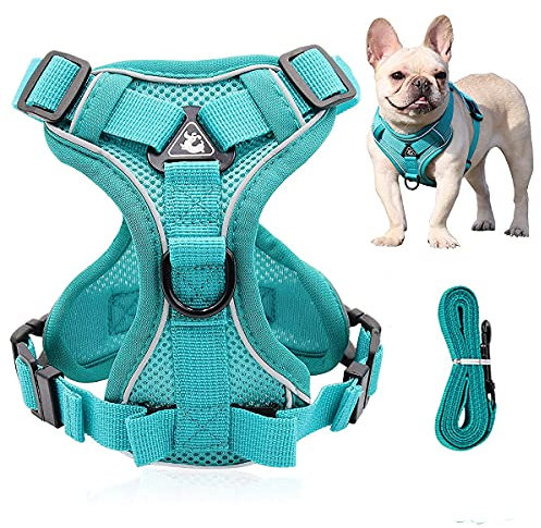 No Pull Hundegeschirr, Sports Hundegeschirr, Großes Reflektierendes Hundegeschirr, Einstellbare Hundeweste, mit Frontclip und Leicht zu bedienendem Griff für Spaziergänge, Training, Laufen (M)