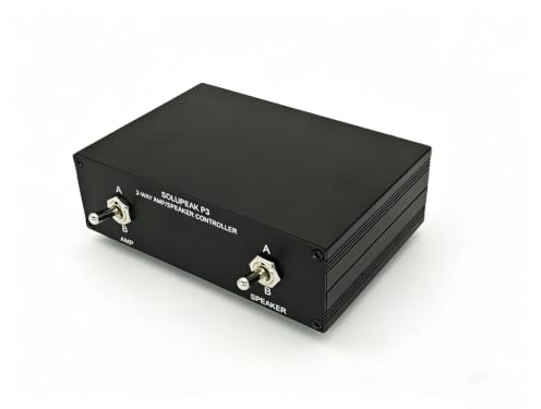 SOLUPEAK P3 2-Wege AMP Verstärker auf 2 Paar Lautsprecher Wahlschalter Splitter Kombinierbox 2 in 2 Out