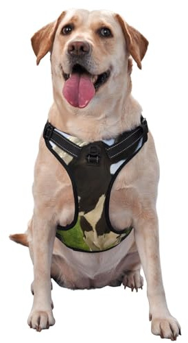 Vaches au pâturage,Harnais pour Animaux de Compagnie, Harnais réfléchissant réglable pour Chien,XL