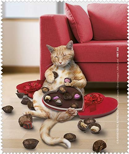 BrillenputztuchNaschkatze von Rannenberg & Friends