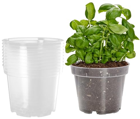 Garronda Pots Horticulture Ronds Transparents Pots pour Culture de Plants de Plantes et Fleurs GD-0024 (10 Pièces Transparent, ⌀ 19cm H 15cm)