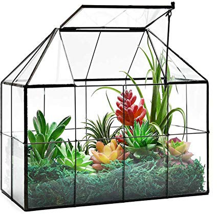 Large Glass Greenhouse Succulent Plant Terrarium with lid Geometric Tabletop