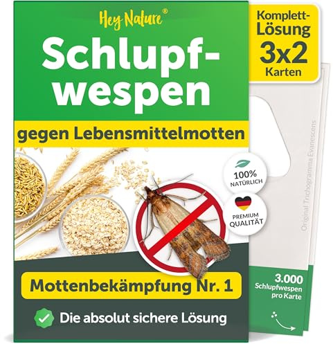 Hey Nature Schlupfwespen gegen Lebensmittelmotten - Komplettkur 6 Karten | (2 Karten à 3 Lieferungen) | Natürlich & nachhaltig Motten bekämpfen | Effektiver als Mottenfalle & Mottenspray