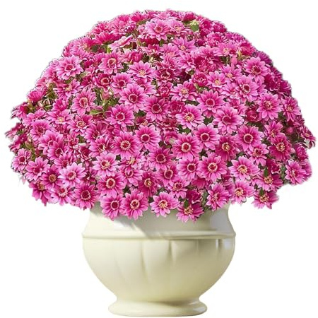Yulokdwi Fiori Finti Di Crisantemi,10 Mazzo Fiori Artificiali Resistenti Ai Raggi UV Per Autunno | Piante Decorative Decorazioni Autunnali Per Cortile Camera Da Letto Feste Giardino Balcone Vaso