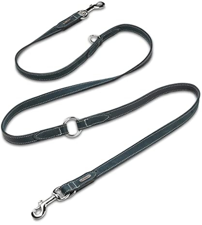 JACK & RUSSELL Hundeleine aus Leder & Edelstahl Karabiner/Ringe | verstellbare Führleine 2,00m | robuste & weiche Hunde Lederleine aus Büffel-Fettleder Buddy (Petrol)