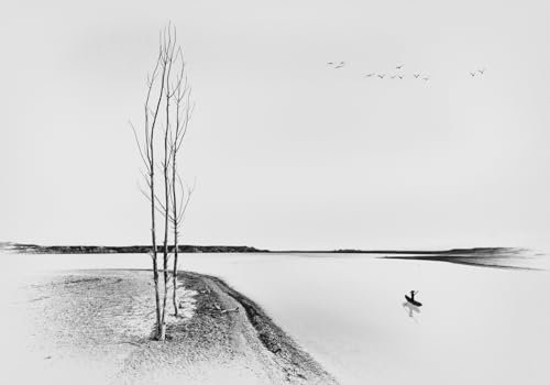 Fototapete Blumen 3D Tapeten 3D Effekt Wohnzimmer Schlafzimmer Vliestapete Neue Chinesische Schwarz-Weiß-Stimmung Landschaft Baum Natur Grau Graffiti Steinoptik Kinder Tapeten