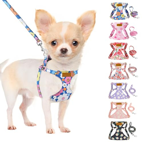 SlowTon Hundegeschirr mit Leine, No-Pull leichtes weiches Wildleder-Welpengeschirr mit Blumenmuster und Schnappschnalle, verstellbares Geschirr Hund für kleine und mittelgroße Hunde