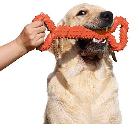 atopo Duros Juguetes morder para Perros, 13 Pulgada Goma Juguete Forma de Hueso con Superficie Convexa Resistente Juguetes interactivos para Cachorro de Perros pequeños medianos y Grandes