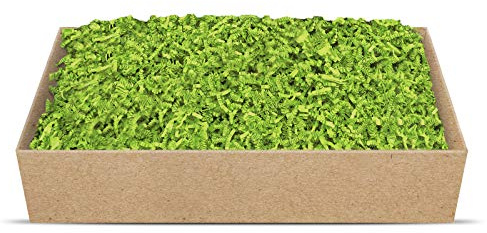 SizzlePak Geschenkfüllmaterial Umweltfreundliches Papierfüllmaterial viele Farben 125g-1kg (Lime Green, 500g) | Umweltfreundliches Papierfüllmaterial in vielen Farben – erhältlich von 125g bis 1kg