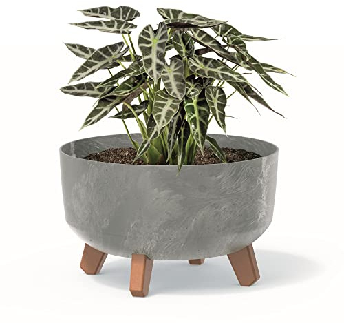 botle Bonsai Schale Baum Mini Garten Blumentopf an den Füßen Pflanzkübel D 28,5 cm hell Grau Kunststoff Töpfe mit Einsatz Beton Optik Übertöpfe