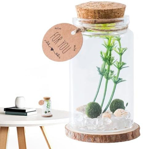 Piccole bottiglie di con tappo in sughero – mini vasetti da farmacia, piccoli flaconcini decorativi | Mini bottiglie con tappo in sughero per profumi, liquori, spezie, decorazioni per matrimoni
