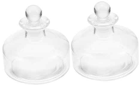NOLITOY 2piezas Botella de Aromaterapia Transparente Botella de Aceite Esencial Rellenable Frasco de Vidrio para Aromaterapia para Purificar el Aire el Hogar