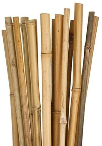 Virsus Canne di Bambù Naturale 7342, Lunghe 150 cm, diametro 12-14 mm, Sostegno per piante Rampicanti, Ortaggi, Pomodori, per giardino, orto, per arredamento, strutture, decorazioni (50)