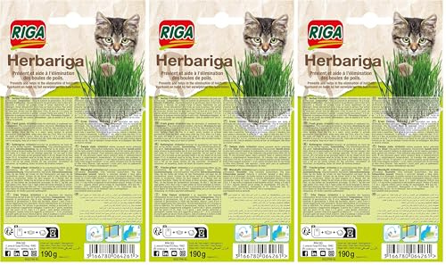 Hierba para Gatos, 150g de substrato de germinación, 40g de Cebada. (Paquete de 3)