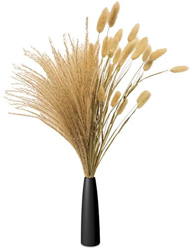 Pampasgras Getrocknet Deko, Lagurus Ovatus, getrocknetes Schilfgras, Kaninchenschwanz, Trockenblumenstrauß mit Vase, Blumen arrangement, Hochzeit, Büro- und Heimdekoration,30 Stück (Schwarze)