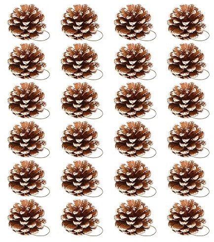 Timiyou 24 Pieces Christmas Pine Cones, Snow Pine Cones with Rope, Natural Snow Pinecones Ornaments, 3-5cm, Christmas Party Decoration for DIY