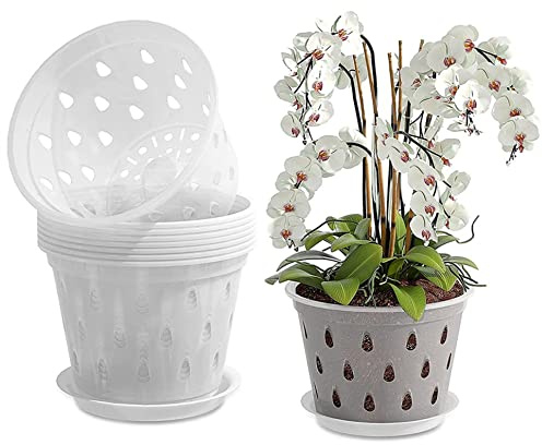 FUBESK Macetas transparentes para orquídeas, macetas de plástico para orquídeas con agujeros, macetas de 5 pulgadas con drenajes, macetas ranuradas transpirables para plantas de orquídeas, trasplante