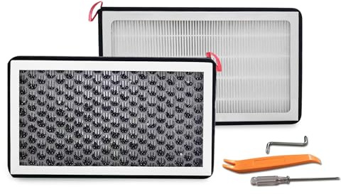 Arcoche Filtro HEPA con carbón activo para Tesla Model 3 2017-2025 Highland/Model Y 2020-2026 Juniper, Filtro de aire de escape con filtración de olores,Número OE:1107681-00-A(2 piezas)