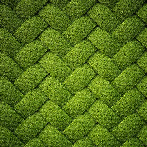 HEKO PANELS Oxford Wasserdichte Meterware Canvas-Stoff Polyester Zum Nähen Nähstoffe Möbelstoffe Dekostoffe Handwerken Wasserabweisend Blickdicht Gras Geometrisch 1 Meter 155 x 100 cm
