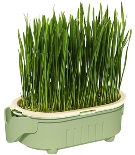 Caja De Plantación De Césped De Gato - Plantador De Hierba De Gato | Pot De Planta De Hierba De Gato | Kit De Cultivo Fácil Para Gatos | El Césped No Tóxico, Y Saludable Para Gatos Interiores |