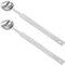 2 cucchiai dosatori in acciaio inox, con manico lungo, cucchiaino da caffè in acciaio inox per famiglie, dimensioni del set di caffè, spezie, fagioli (5 ml)