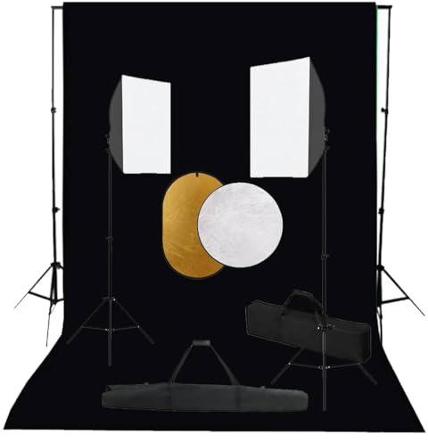 vidaXL Fotostudio Set mit Softbox-Leuchten Hintergrund Reflektor Teleskop Hintergrundsystem Stativ Studioleuchte Foto Studioset Tragetasche