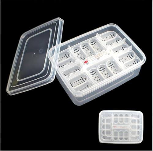 Vassoio per incubatrice per uova di rettili, Scatola da cova, scatola per allevamento di rettili,Incubatrice da cova trasparente per uova con 16 griglie - Scatola di incubazione, vassoio da cova