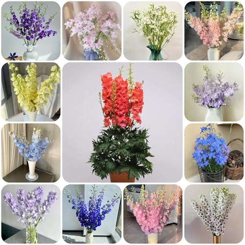 rittersporn - balkon blumenwiese topfblumen ritterspornsamen bonsai balkon blumensamen wildblumen exotische blumenbeet schattenpflanzen wildblumensamen deko blumenwiese mehrjährig 750samen